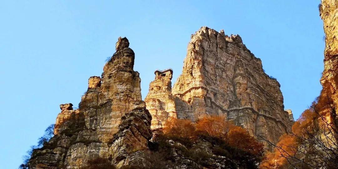 李佳琦付鹏两人合开了一家公司，公司的名字为何会引发深思？