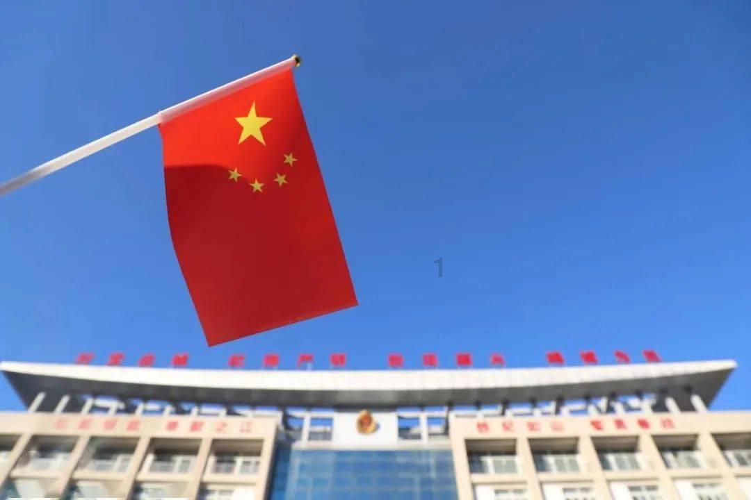 黄玫瑰代表什么意思?-专业问答网站